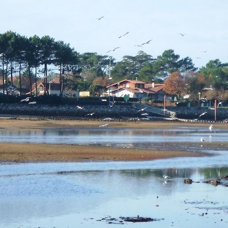 Les Coquillages Daire Mimizan-Plage Dış mekan fotoğraf
