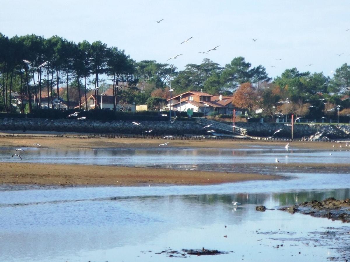 Les Coquillages Daire Mimizan-Plage Dış mekan fotoğraf